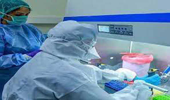 कोरोना वायरस के नये मामले कई लोगो की मौत