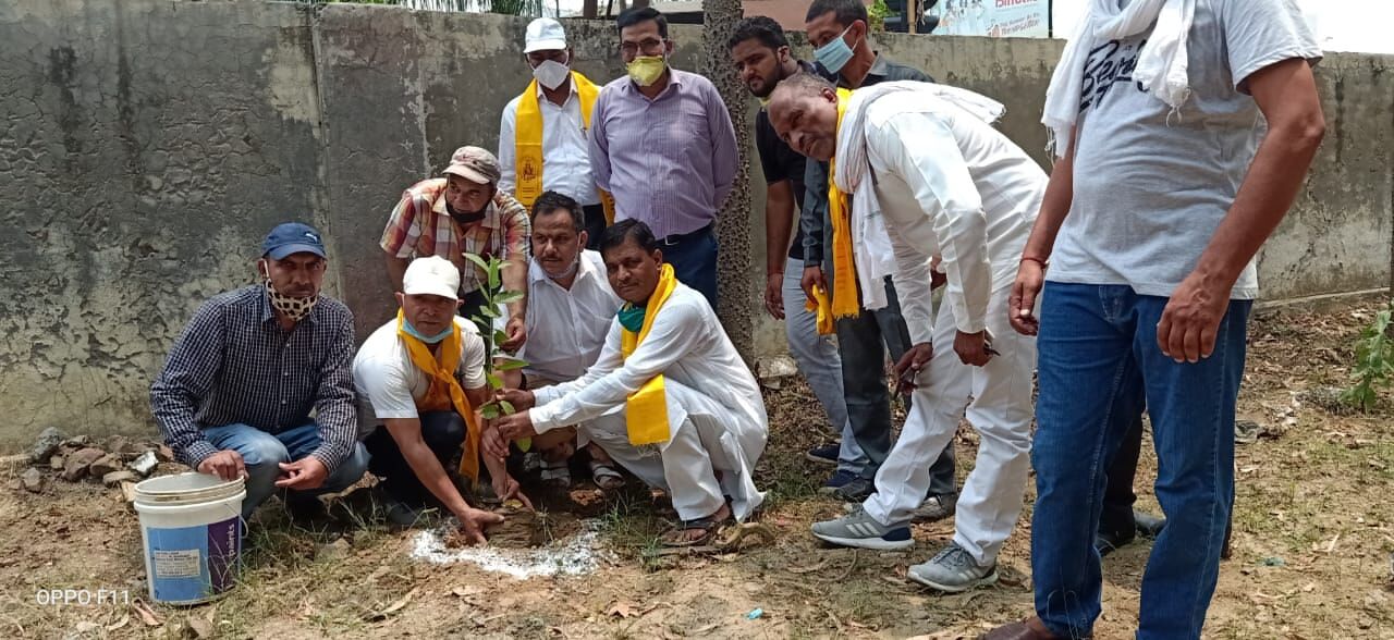 राज्यमंत्री विजय कश्यप ने किया वृक्षारोपण, कहा पेड़ लगाए-जीवन बचाये