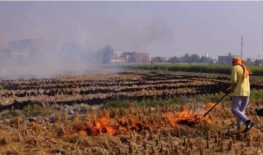 किसानों ने खोज निकाला पराली से कमाई का रास्ता