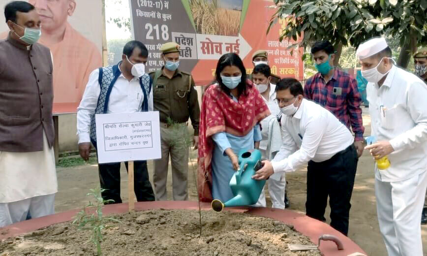 डीएम ने चंदन का पेड़ लगाकर दिया पर्यावरण संरक्षण का संदेश