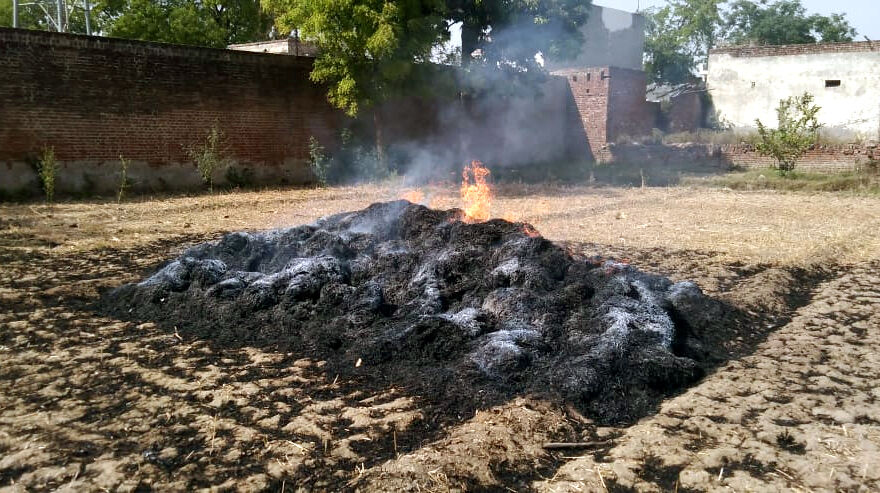 2 बीघा गेहूं की फसल जलकर हुई राख