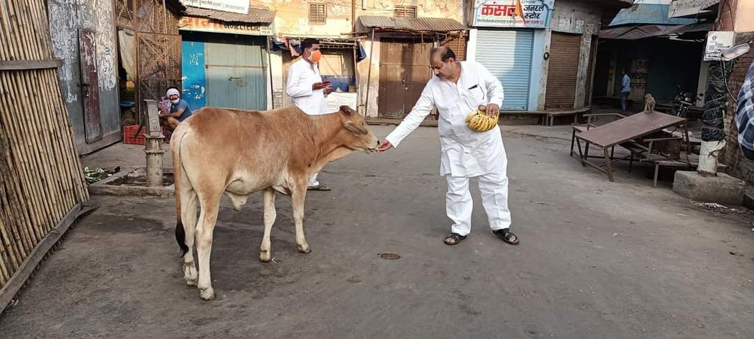 भूख से बिलखते पशु व बंदरों के भोजन को SP नेता आए आगे