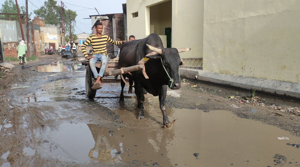 गांव का मुख्य मार्ग बना तालाब-नेताओं  की एंट्री बंद करने की चेतावनी