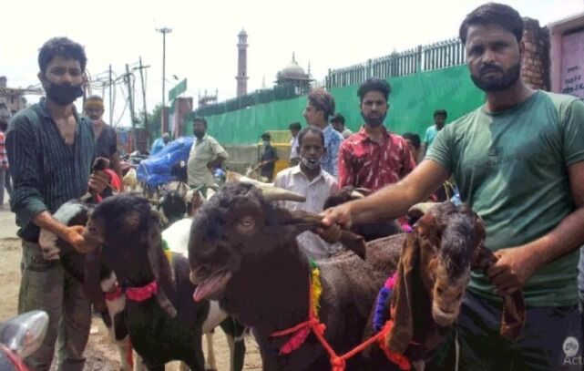 बकरीद पर सजे बाजार-कुदरती कलमा लिखा सुल्तान बना आकर्षण का केंद्र