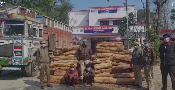 यहां पुष्पा का नहीं कानून का चलता है राज खैर की लकड़ी के साथ 2 अरेस्ट