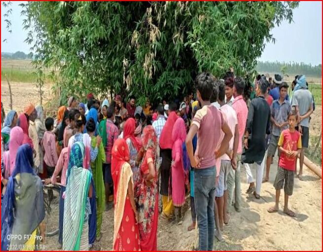 पशु चराने गए वृद्ध को बाघ ने बनाया अपना निवाला- गांव में मचा हड़कंप