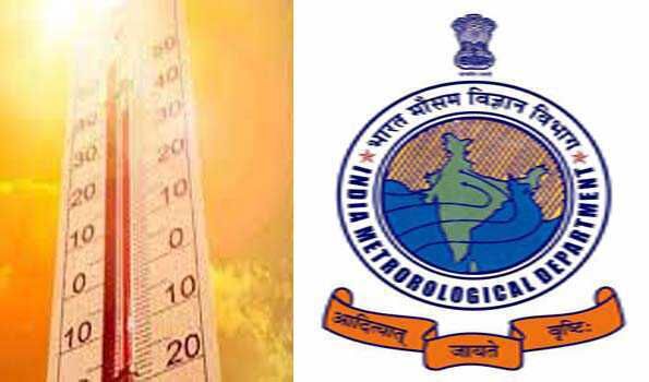 भीषण गर्मी में बूंद बूंद पानी को मोहताज सारस