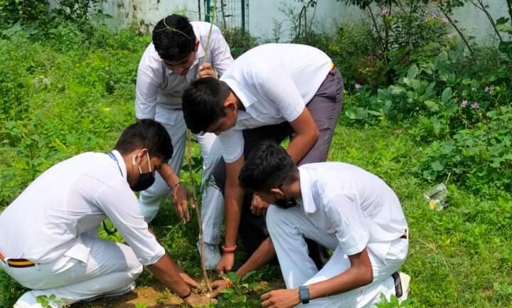 वन विभाग से प्रेरित होकर जयपुरिया स्कूल के बच्चों ने किया वृक्षारोपण