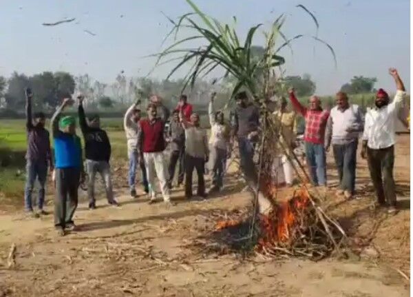 किसानों ने जलाई बाजरे और गन्ने की होली- केंद्र पर लगाए यह बड़े आरोप