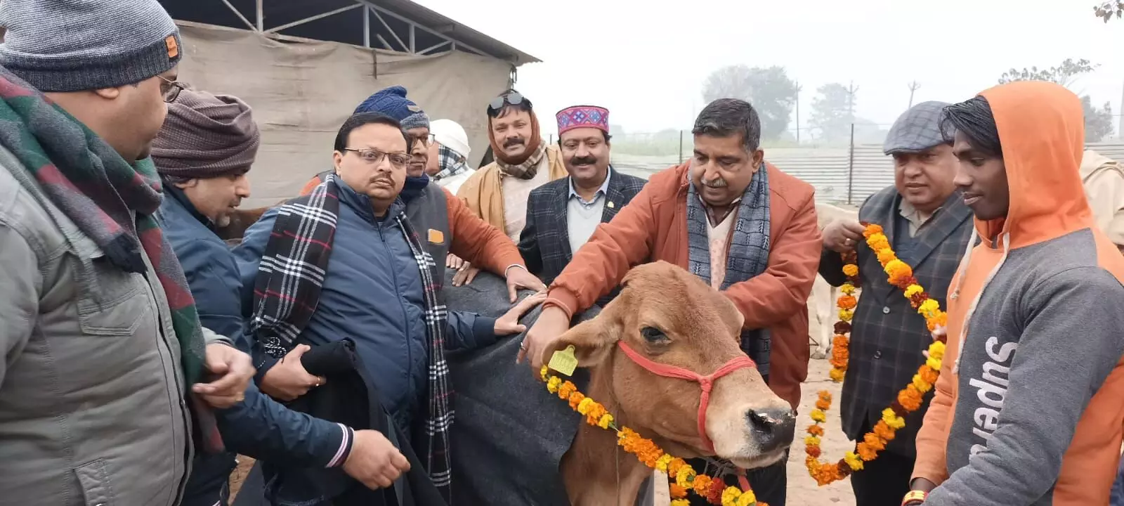 बोले CDO- बेजुबा जीव की सेवा करना सबसे पुण्य का काम- पशु को पहनाया कोट