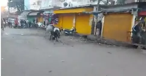 दो सांडो की लडाई से सडक पर लगा कर्फ्यू- रेहडे ठेलिया क्षतिग्रस्त