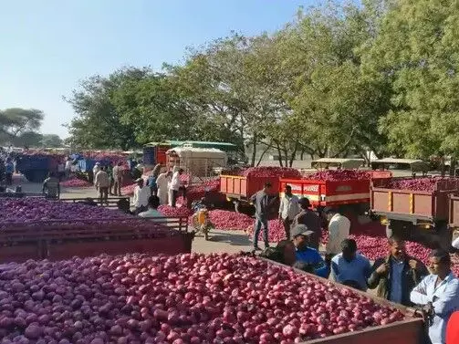 प्याज की कीमतों ने निकाले आंसू- 63 रुपए किलो तक पहुंचे दाम