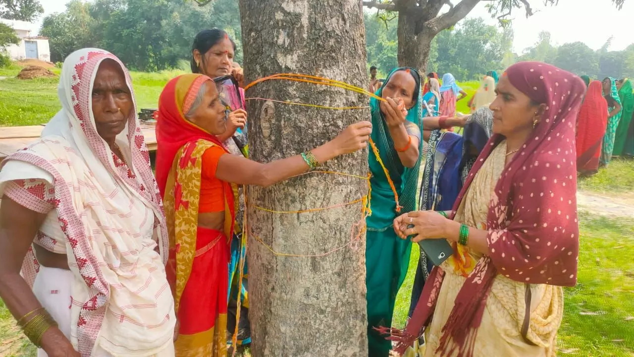 महिलाओं ने पेड़ों पर राखी बांधकर क्यों मनाया त्यौहार- जानिये वजह