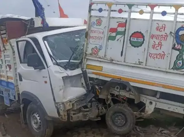 NH 58 पर दो छोटे हाथियों की टक्कर में चालक की मौत- दर्जन भर घायल