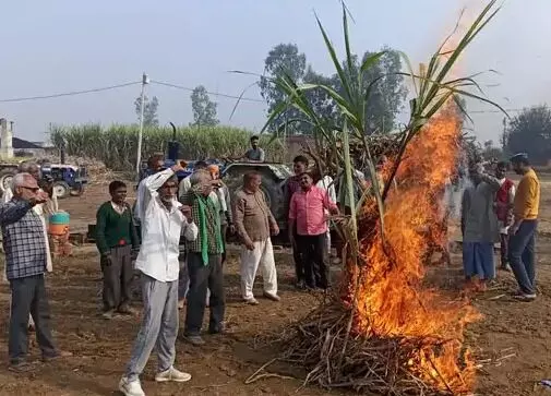 किसानों ने जलाई गन्ने की होली- बोले ब्याज के साथ मिल दे हमारा पैसा