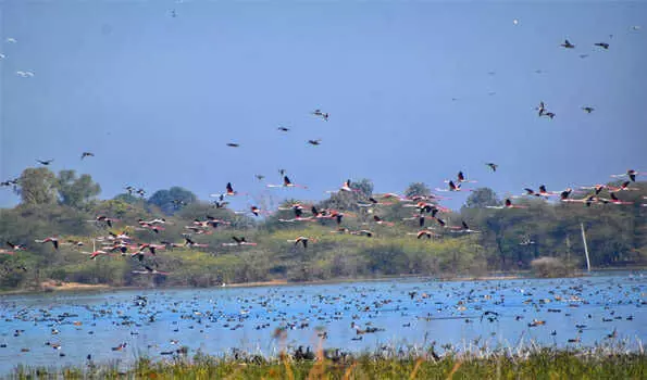 राजस्थान में उदयपुर जिले का बर्ड विलेज मेनार पर्यटन क्षेत्र का खज़ाना