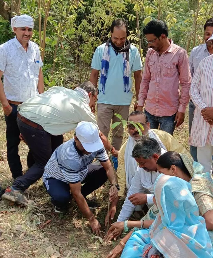 घुलघली तालाब की सफाई करने के बाद किया वृक्षारोपण- तालाब किनारे...