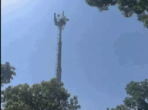 CM से मुलाकात की मांग- मोबाइल टावर पर चढ़ा युवक- बोला पुलिस ने...