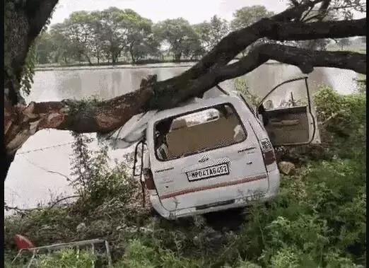 सड़क से उतरकर जंगल में भागी टवेरा पेड़ से टकराई- 5 युवकों की मौत