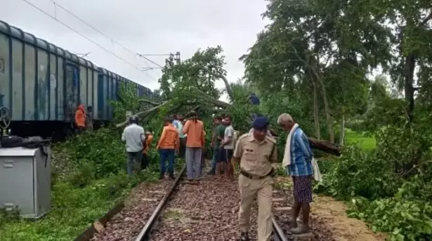 चलती मालगाड़ी पर गिरे पेड़ में लगी आग- ड्राइवर ने कूदकर बचाई अपनी जान