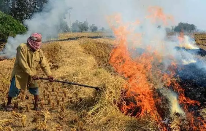 सरकार का प्रदूषण के खिलाफ बड़ा एक्शन- 24 अफसर किये सस्पेंड