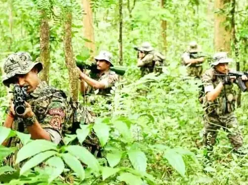 गोलियों की तड़तड़ाहट से गूंजा सुकमा- एनकाउंटर में मार गिराए 10 नक्सली