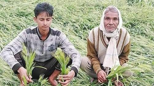 बीमा कम्पनी किसानों से नुकसान की सूचना समय से प्राप्त करना सुनिश्चित करें : प्रमुख सचिव