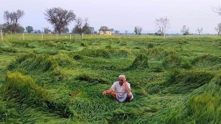 ओलावृष्टि,जलभराव से हुये नुकसान की सूचना 72 घंटे के अंदर उपलब्ध करायें किसान